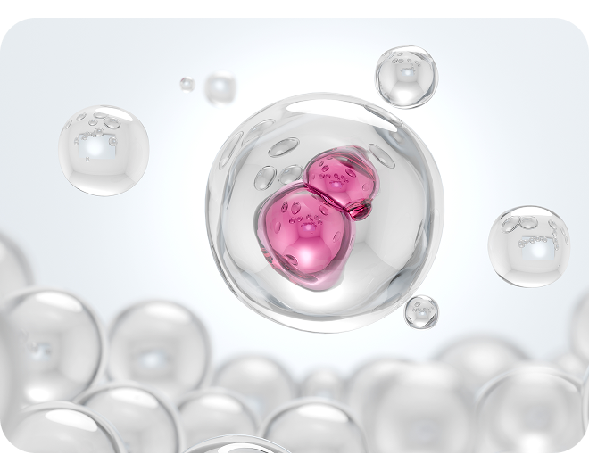 노바스템 테라피